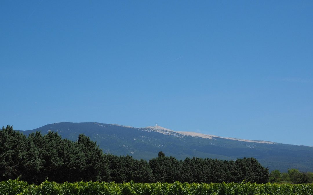 La Faune et la Flore du Mont Ventoux | Vaucluse