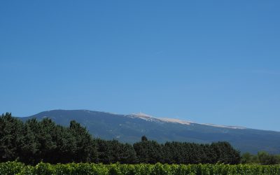 La Faune et la Flore du Mont Ventoux | Vaucluse