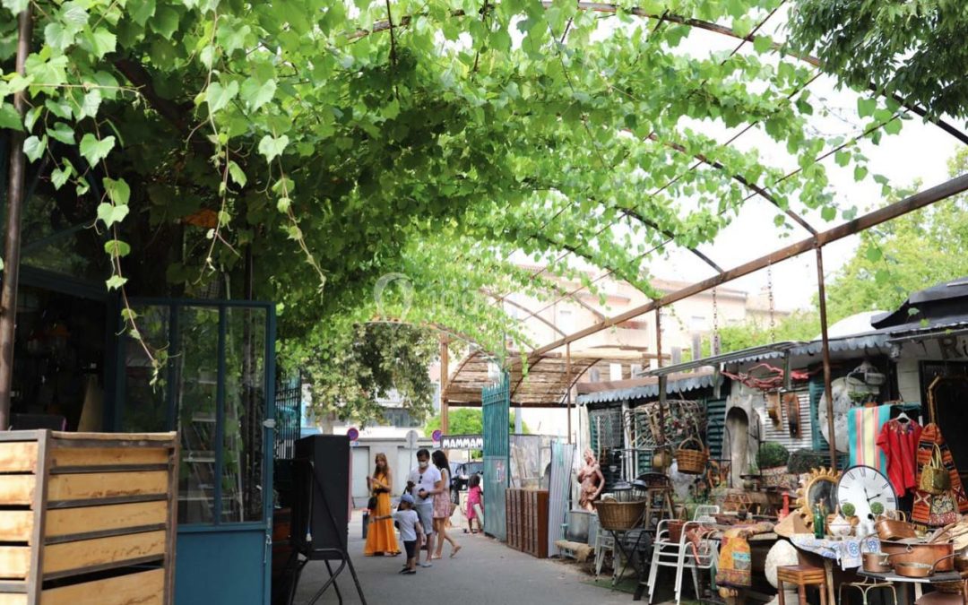 Les Antiquaires et l&rsquo;histoire du commerce d&rsquo;art – L&rsquo;Isle-sur-la-Sorgue