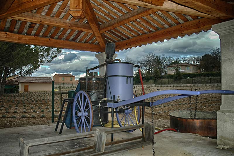 Le Musée de la Lavande et l&rsquo;histoire de l&rsquo;or bleu – Coustellet